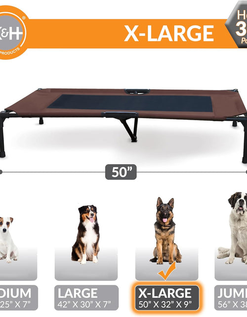 Load image into Gallery viewer, Original Pet Cot, Elevated Dog Bed Cot with Mesh Center, Multiple Sizes
