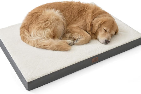 Large Dog Bed for Large Dogs up to 75Lbs - Big Orthopedic Dog Beds with Removable Washable Cover, Egg Crate Foam Pet Bed Mat, Grey
