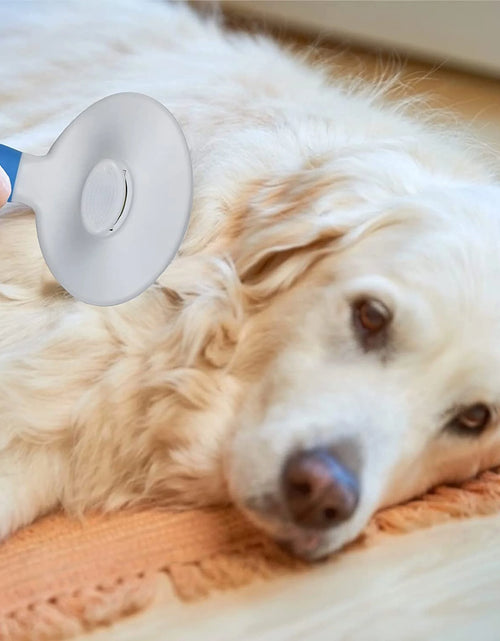 Load image into Gallery viewer, Cat Brush Self Cleaning Grooming Tool for Shedding and Grooming All Hair Lengths
