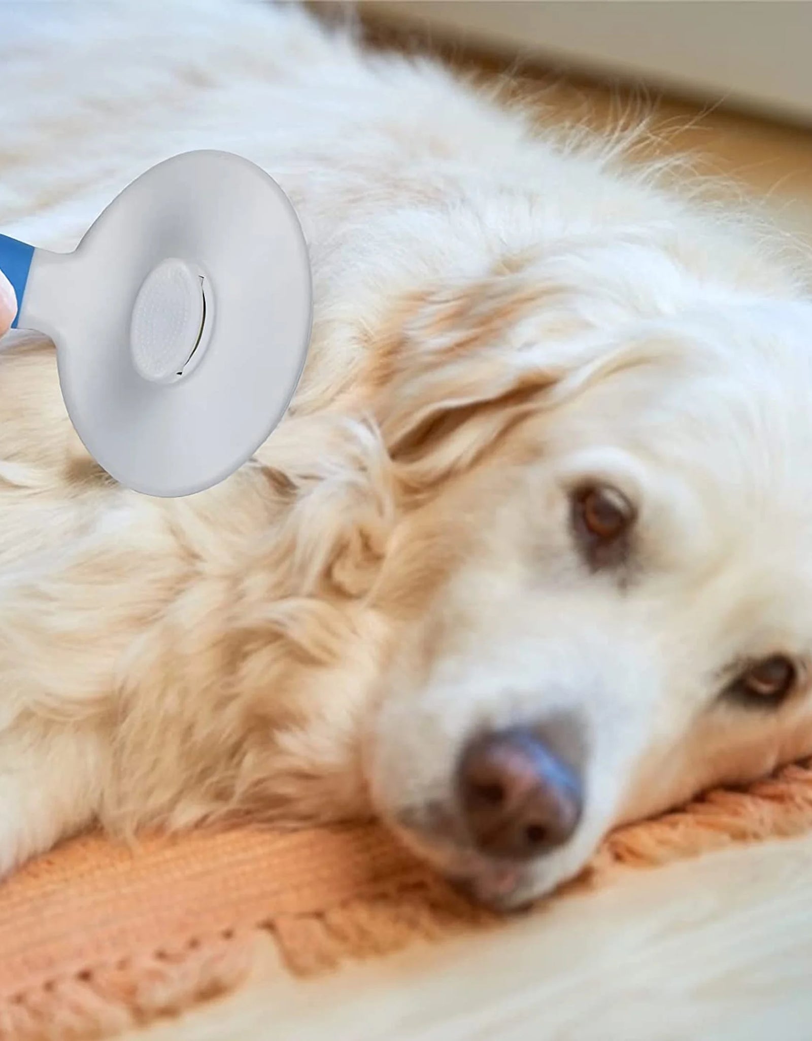 Cat Brush Self Cleaning Grooming Tool for Shedding and Grooming All Hair Lengths