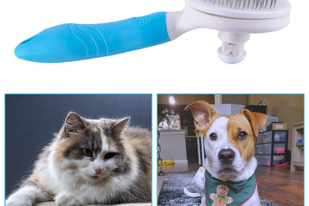 Cat Brush Self Cleaning Grooming Tool for Shedding and Grooming All Hair Lengths